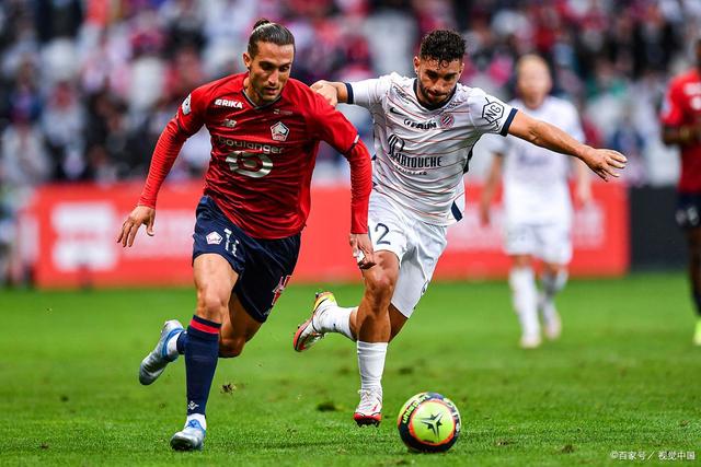 开云体育官方入口-里尔队惨败对手，形势严峻在法国联赛的简单介绍